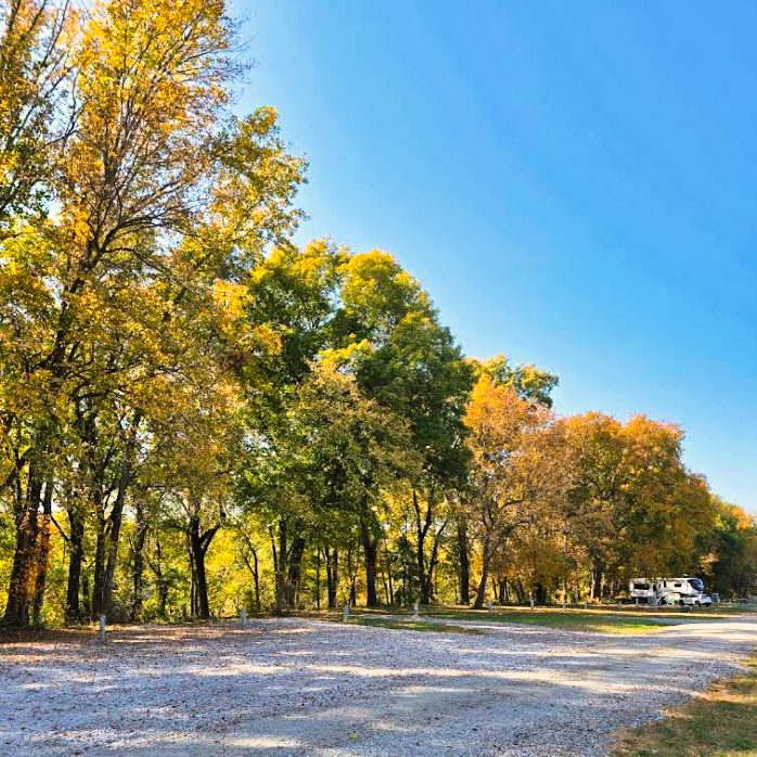 Screenshot 2025-05-13 092147