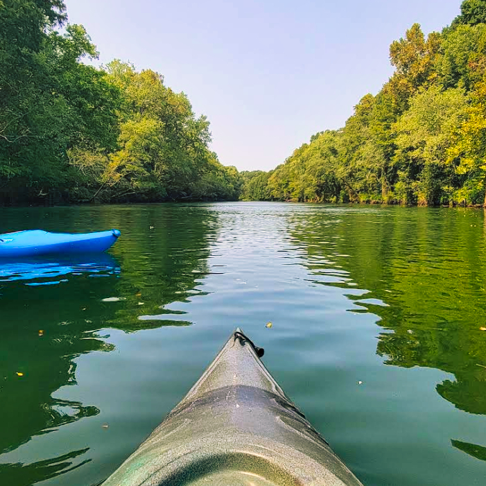 Screenshot 2025-05-15 164441