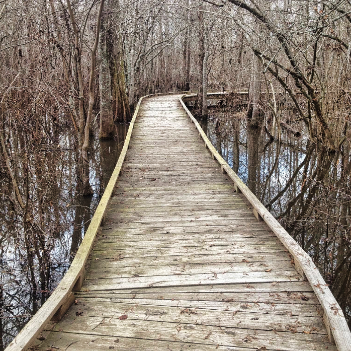 Screenshot 2025-05-15 164459