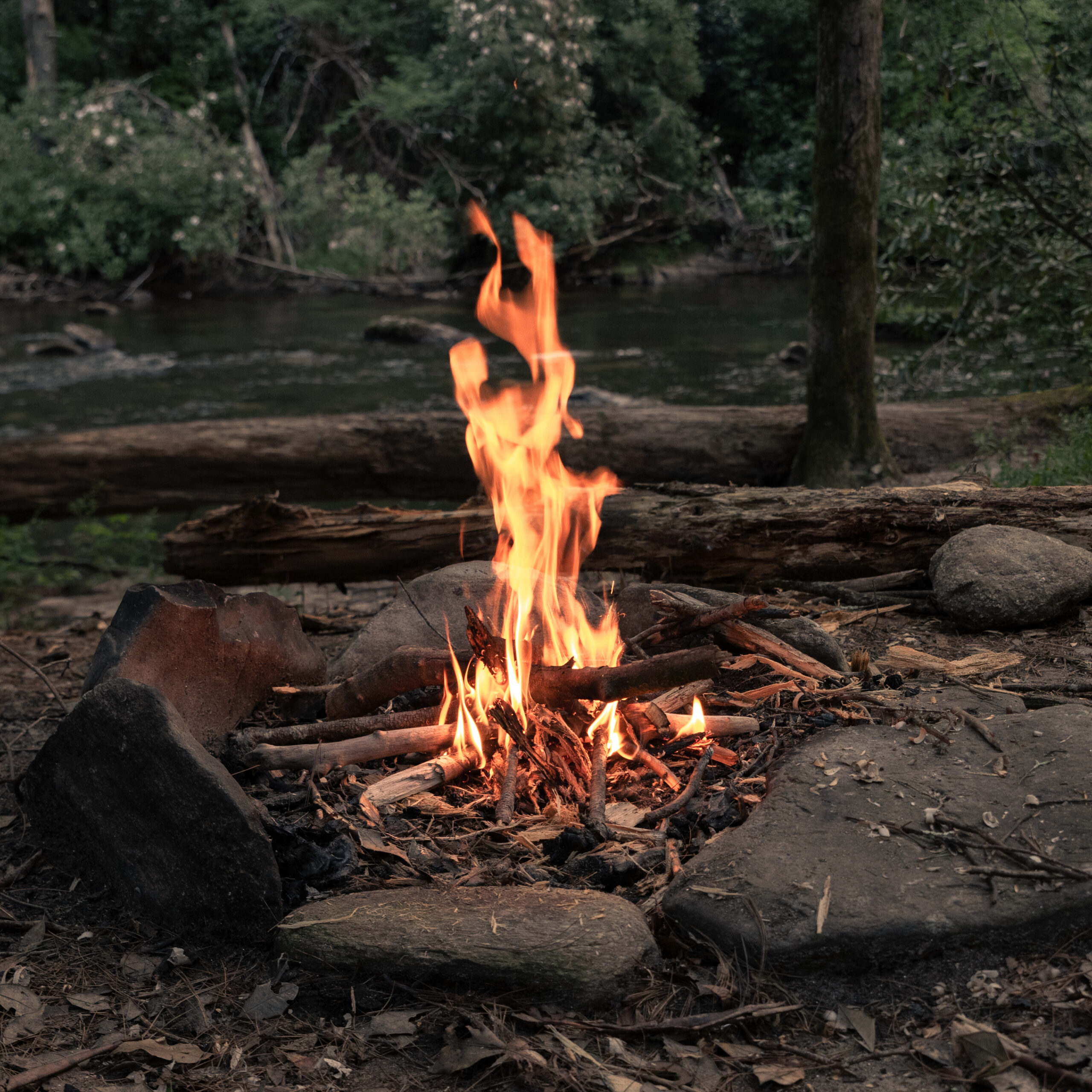 campfire-surrounded-by-greenery-rocks-with-river-forest